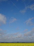 青空