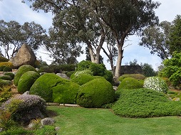 庭園