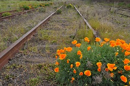 線路