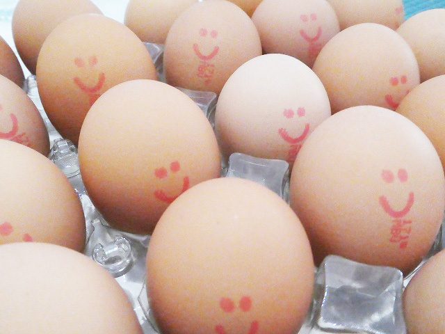 COSTCOの卵
