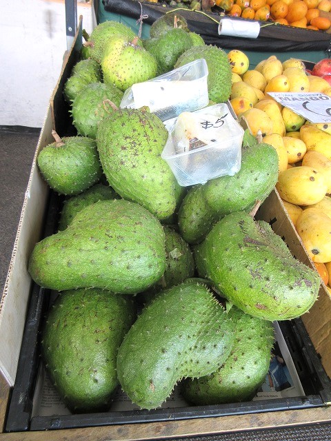 Soursop