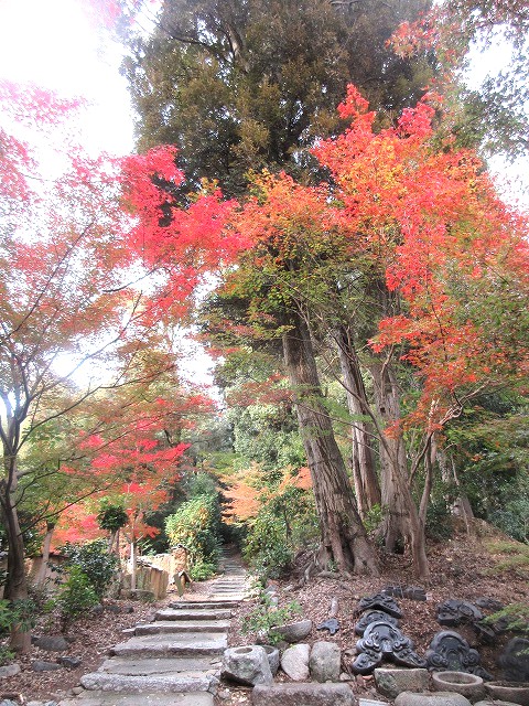 薩摩藩士を弔う「薩摩藩戦死者供養碑」がある道