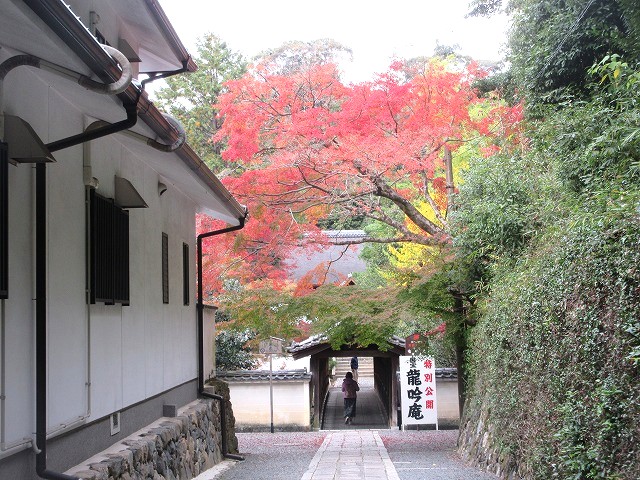 偃月橋（えんげつきょう）
