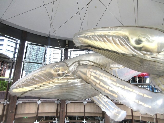Darling Harbour（ダーリングハーバー）
