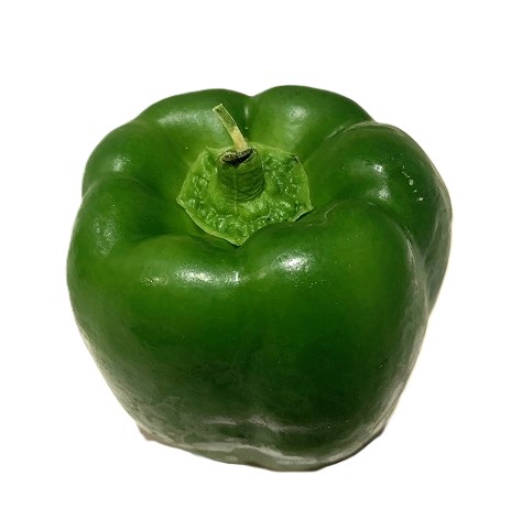 Capsicum